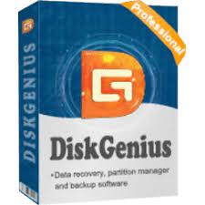 DiskGenius Professional 5.4.6.1441 With Crack 2023 [Latest]